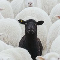 RG (@aregee) 's Twitter Profile