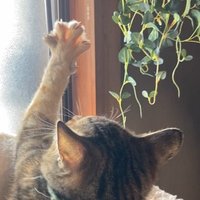 🐾 Bousi・4🐾 (@qitjb0tjiu26095) 's Twitter Profile