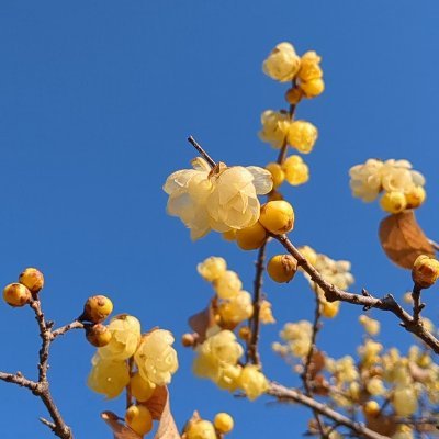 あきさんのプロフィール画像