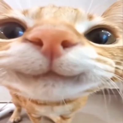 gravidezmasculi's profile picture. 