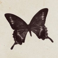 MM (@matdmexico) 's Twitter Profile Photo