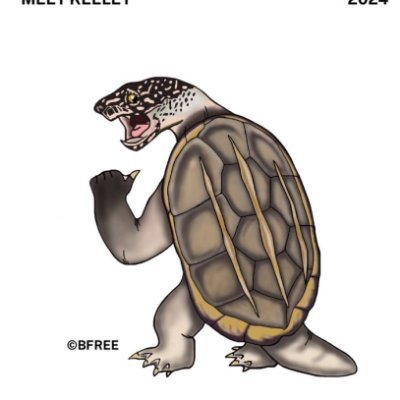 TotallyTurtles Profile