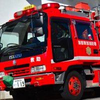 AICHI RESCUE (@rescue47265909) 's Twitter Profile