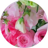 花れん (@elsimateels753) Twitter profile photo