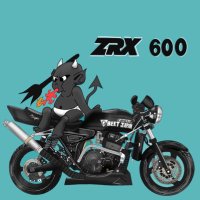 キー…BEETJAPAN…マットブラックZRXⅡ???cc (@ZRX6_9) / X