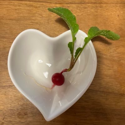 KtD6NDXQta82968's profile picture. 大阪で家庭菜園やってます。プランター栽培時々水耕栽培です。作る楽しみ食べる喜びで身も心も健康に…そんな小さな日常のつぶやきです。