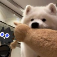 nab ༘⋆ (@nabisayo) 's Twitter Profile Photo nab ༘⋆ (@nabisayo) 's Twitter Profile Photo