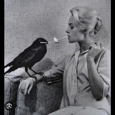 allisonleabrown's profile picture. you’re wearing my shirt, gordon.