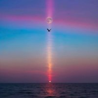 Ross Bob (@bitchenb0b) 's Twitter Profile