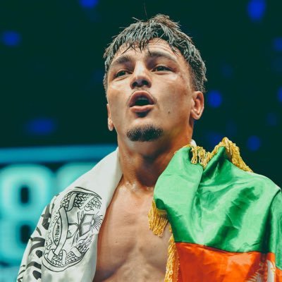 Professional Boxer 8/3/0 6kos • Proud Afghan •