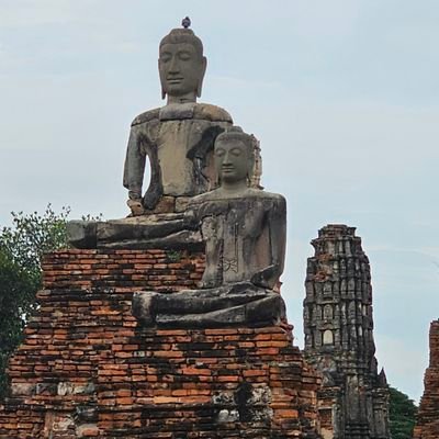 Schrocklaw's profile picture. Lawyer by trade, interests include crypto, free speech, Thai food, Thailand, Eastern Asia and fitness.