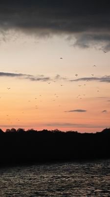 JiachengJianjc's profile picture. 