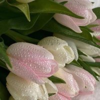دُعاء (@iduuu3a) 's Twitter Profile