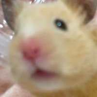𝒑𝒊𝒏𝒐 (@ham2maron) 's Twitter Profile Photo 𝒑𝒊𝒏𝒐 (@ham2maron) 's Twitter Profile Photo