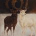 RTdeer (@rtdeer) Twitter profile photo RTdeer (@rtdeer) Twitter profile photo