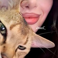 ريــــم 𓆩♥️𓆪 (@iree5_) 's Twitter Profile