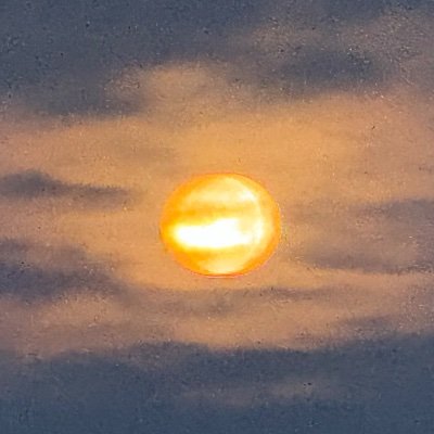 Lifeisamazing91's profile picture. 