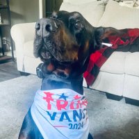 XRP_Chicka ๐บ๐ธ (@xrp_chicka) 's Twitter Profile