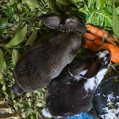 JwgMerchan55812's profile picture. 