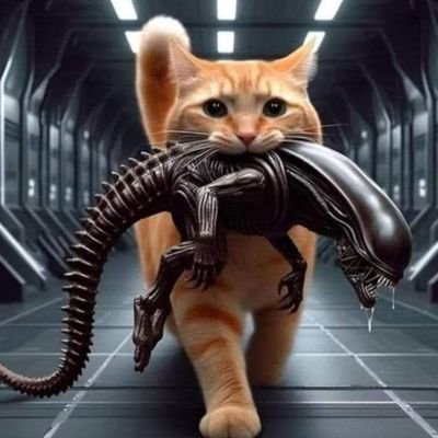 pdebsafety's profile picture. irreverent - patriotic - asshole