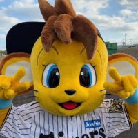 🐯熊虎🐯 (@hanshintora0410) 's Twitter Profile