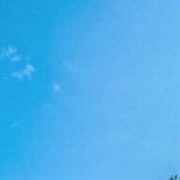 メメ (@vfdabdwtuv81139) 's Twitter Profile