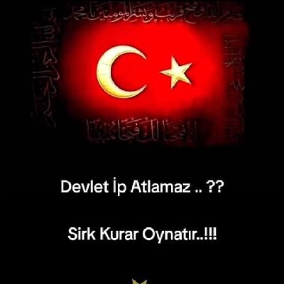 Ferdi__ycl's profile picture. ❤️🇹🇷❤️
MEVZU MAKAM'SA
  HEPİNİZ ÖLÜN
 🌹EBU UBEYDE🌹
    ❤️🇹🇷❤️

                       (EVLİ) 2kız 1erkek Babası