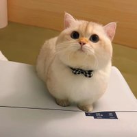' (@itsnarayan0) 's Twitter Profile