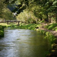 アアアア(´Д｀;) (@lennox1942) Twitter profile photo