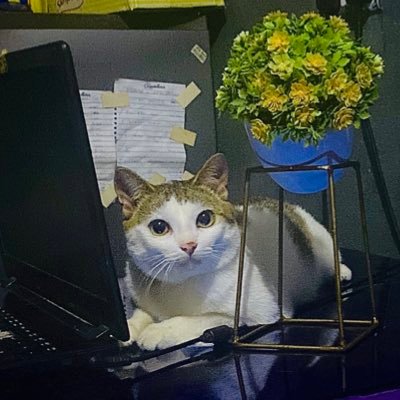 qlegendd's profile picture. 📸 @kraster man 🔑 || NeroX_AI
