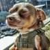 йопаний пес війни ||Bulldog’s Kahu (@jane_c_doe) Twitter profile photo йопаний пес війни ||Bulldog’s Kahu (@jane_c_doe) Twitter profile photo