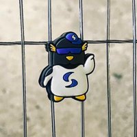 ぴすと@テニスプレーヤー (@tennisiste) Twitter profile photo