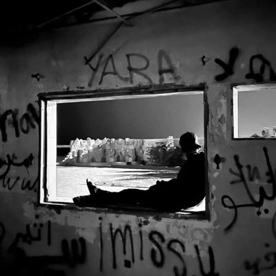 MkajNshk's profile picture. ما هزك الشوق؟..