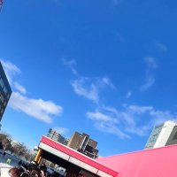 北海道のD/次回 1.4,1.5東京ドーム (@start_hkd_mirai) 's Twitter Profile