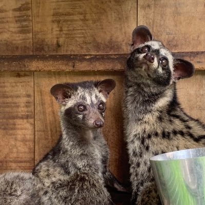 thinhad1001's profile picture. 