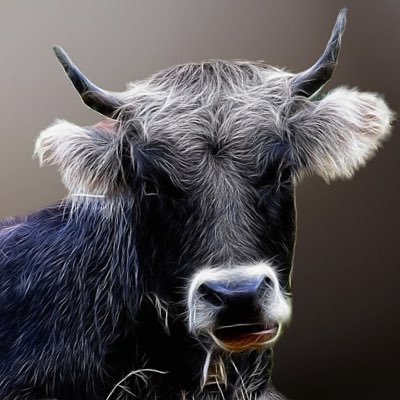 okuzebak's profile picture. 