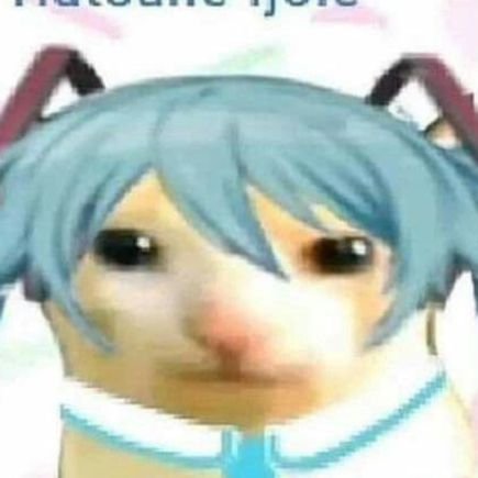 _Marcy_XD's profile picture. 