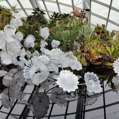 AndreaFran12052's profile picture. life is all about learning from experience ❤️❤️❤️