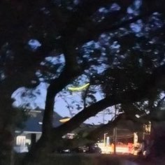 YUM/山口大学混声合唱団副指揮/Chor Eruca代表/合唱団わたりどり副代表/合唱団そうなそ/寺漢/KYC/中大ジョイコン実行委員長/嵩130/バリトンよりのBass