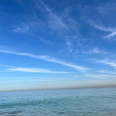 mxlysel's profile picture. 