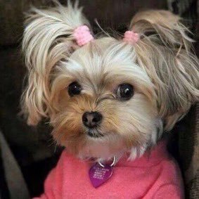 0zoo_ZZANG's profile picture. 소중한 내 백성들 나만큼은 아니지만 나름