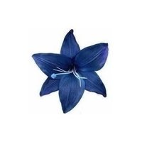 ً (@10ve0412) 's Twitter Profile Photo