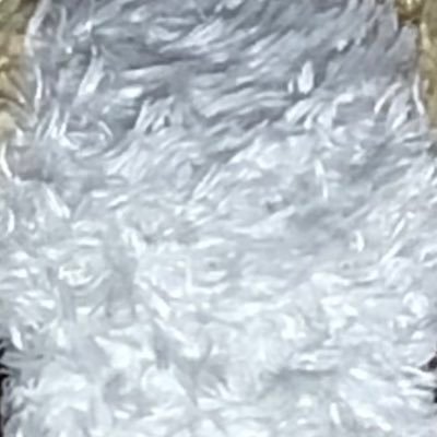 平岸機関さんのプロフィール画像