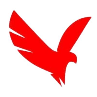 BirdviewInsur's profile picture. Birdview Insurance is dedicated to providing digital, accessible and affordable insurance solutions designed to meet the unique needs of our community.