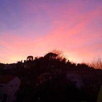 R🦩 (@romyandthekids) 's Twitter Profile Photo