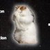 Conviction (@convictioncto) Twitter profile photo Conviction (@convictioncto) Twitter profile photo