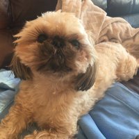 Sackville Dave (@sackvilledave) 's Twitter Profile Photo Sackville Dave (@sackvilledave) 's Twitter Profile Photo