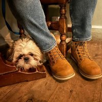 Lanty (@darrenlant) 's Twitter Profile