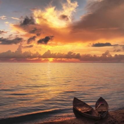 Mezba_J's profile picture. 