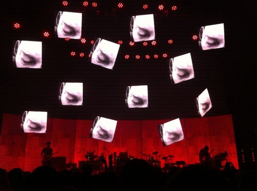 robinmcpolly's profile picture. 